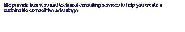 Text Box: We provide business and technical consulting services to help you create a sustainable competitive advantage.
